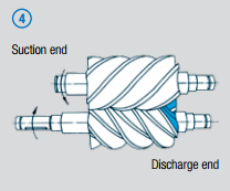 Compression Procedure for Screw Compressors