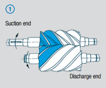 Compression Procedure for Screw Compressors